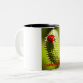 Tasse (Devant gauche)