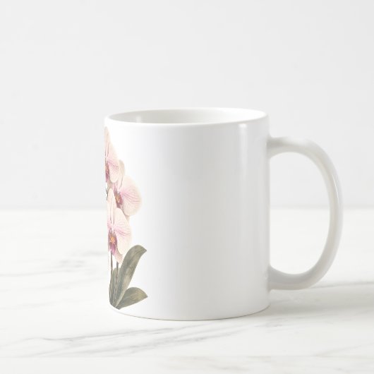 tasse (Droite)