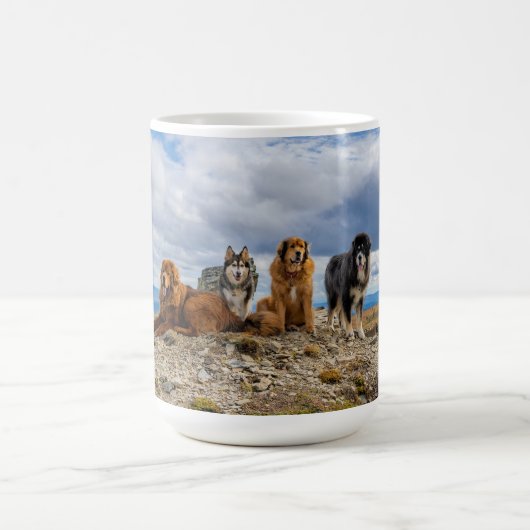 Tasse (Centre)
