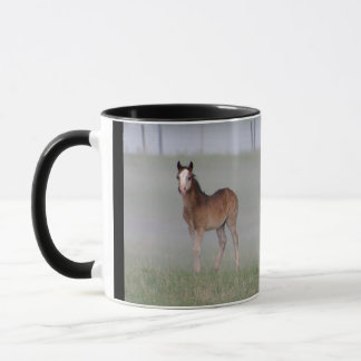 Tasse