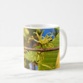 Tasse (Devant droit)