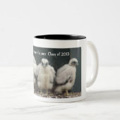 Tasse 2013 de Du Bois Falcons (Devant droit)