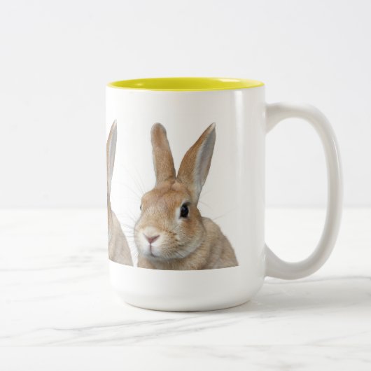TASSE 2 COULEURS ウサギ (Droit)