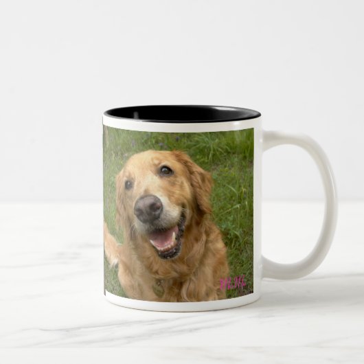 TASSE 2 COULEURS 笑顔のゴールデンレトリーバー (Droit)