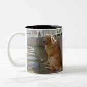 TASSE 2 COULEURS 笑顔のゴールデンレトリーバー (Gauche)
