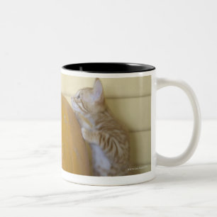 TASSE 2 COULEURS 0