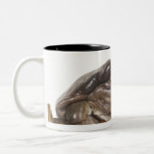 TASSE 2 COULEURS 23568138 (Gauche)