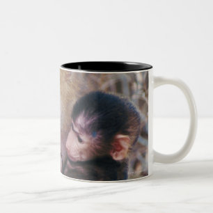 TASSE 2 COULEURS 23899233