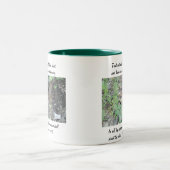 Tasse 2 Couleurs 3:5 de proverbes - 6 (Centre)