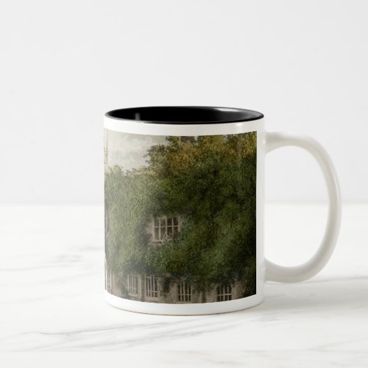 Tasse 2 Couleurs Abbaye de Newstead, R de R. Ackermann's (Droit)