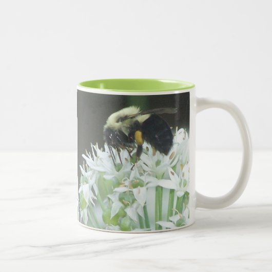 Tasse 2 Couleurs Abee (Droit)