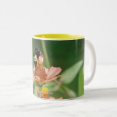 Tasse 2 Couleurs "Abeille" bonne (Devant droit)