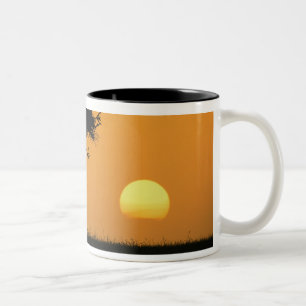 Tasse 2 Couleurs Acacia unique silhouette au lever du soleil, Masai