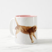 Tasse 2 Couleurs Accrocher dedans là (Devant gauche)