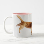 Tasse 2 Couleurs Accrocher dedans là (Gauche)