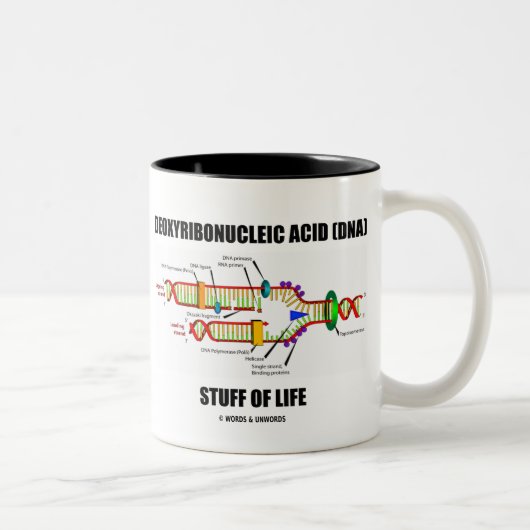 Tasse 2 Couleurs Acide Désoxyribonucléique (ADN) Stude De Vie (Droit)