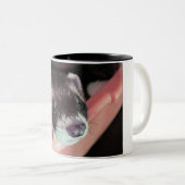 Tasse 2 Couleurs Adorable Sable Ferret Photo (Devant droit)