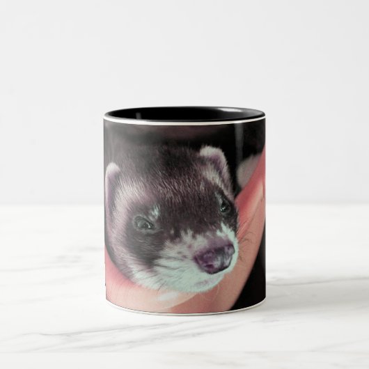 Tasse 2 Couleurs Adorable Sable Ferret Photo (Centre)