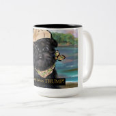 Tasse 2 Couleurs Affenpinscher (Devant droit)