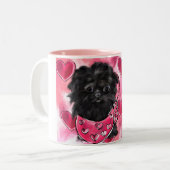 Tasse 2 Couleurs Affenpinscher (Devant gauche)