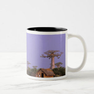 Tasse 2 Couleurs Afrique, Madagascar, Morondava. Baobabs