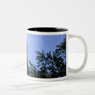 Tasse 2 Couleurs Afrique, Tanzanie, Glitter tend la main vers des i