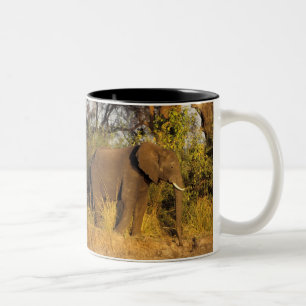 Tasse 2 Couleurs Afrique, Zimbabwe, Parc national des chutes Victor