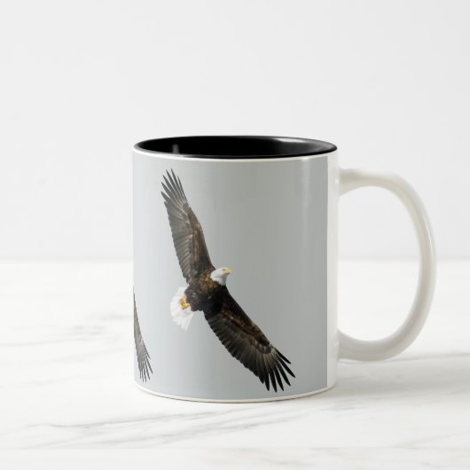Tasse 2 Couleurs Aigle à tête blanche (Droit)