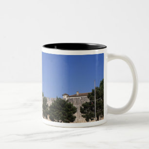 Tasse 2 Couleurs Aigues Mortes, canal du Rhône et de Sète, Gard,