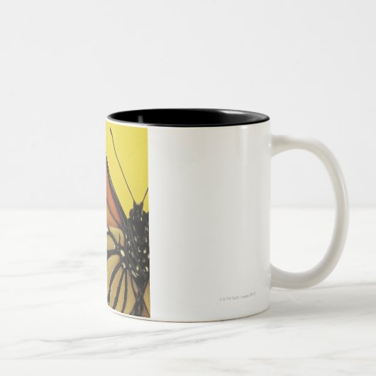 Tasse 2 Couleurs Aile d'un papillon (Droit)