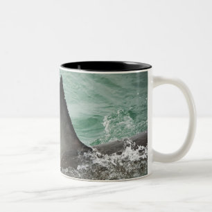 Tasse 2 Couleurs Aileron dorsal d'un grand requin blanc