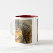 Tasse 2 Couleurs Aimer l'écureuil_ (Devant gauche)