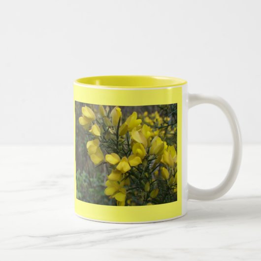 Tasse 2 Couleurs Ajonc (Droit)