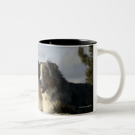 Tasse 2 Couleurs Alberta, Canada 2 (Droit)