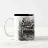 Tasse 2 Couleurs Alligator de la Floride (Gauche)