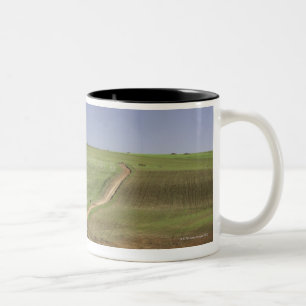 Tasse 2 Couleurs Aloès fleurissant près de Caledon, le