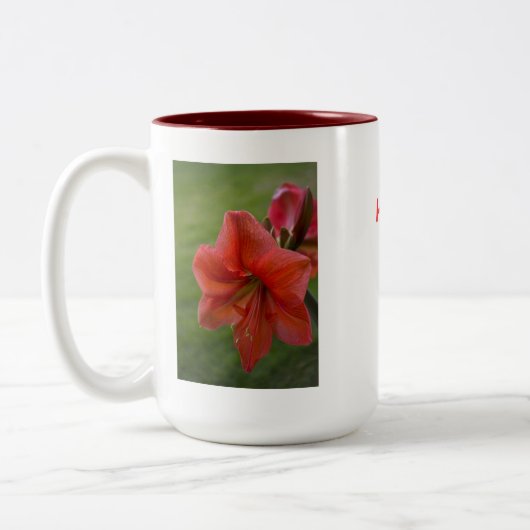 Tasse 2 Couleurs Amaryllis (Gauche)