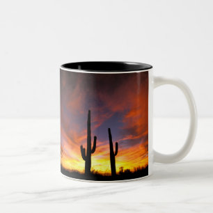 Tasse 2 Couleurs Amérique du Nord, États-Unis, Arizona, désert de S
