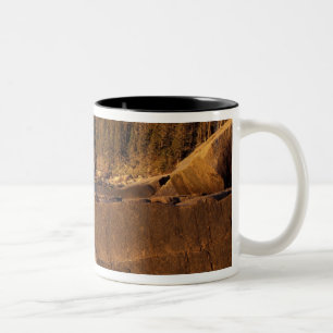 Tasse 2 Couleurs Amérique du Nord, États-Unis, ME, La côte rocheuse