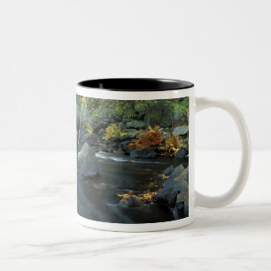 Tasse 2 Couleurs Amérique du Nord, États-Unis, NH, Le pont à Packer