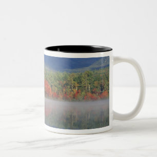 Tasse 2 Couleurs Amérique du Nord, États-Unis, NH, Reflets d'automn