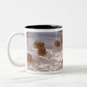 Tasse 2 Couleurs Amérique du Sud, Venezuela, Llano. (Gauche)