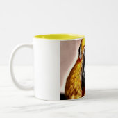 Tasse 2 Couleurs Amour de Conure (Gauche)