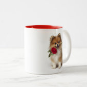 Tasse 2 Couleurs Amour de Pomeranian (Devant droit)
