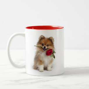 Tasse 2 Couleurs Amour de Pomeranian
