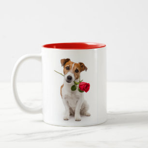 Tasse 2 Couleurs Amour de Terrier