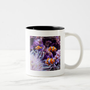 Tasse 2 Couleurs Amphiprion Ocellaris d'Ocellaris Clownfish