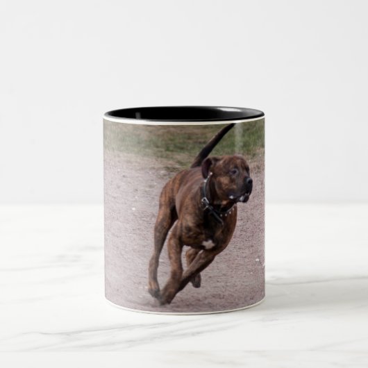 Tasse 2 Couleurs Amstaff en cours (Centre)