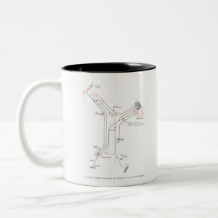 Tasse 2 Couleurs Anatomie du neurone de la cellule cérébrale Synaps