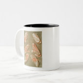 TASSE 2 COULEURS ANATOMY FOOT ANATOMY FOOT MUSCLE ANATOMY BONES LIG (Devant gauche)